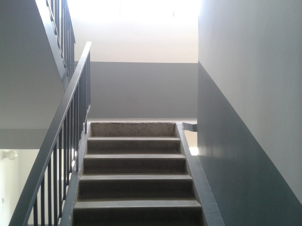 WP_000520.jpg
