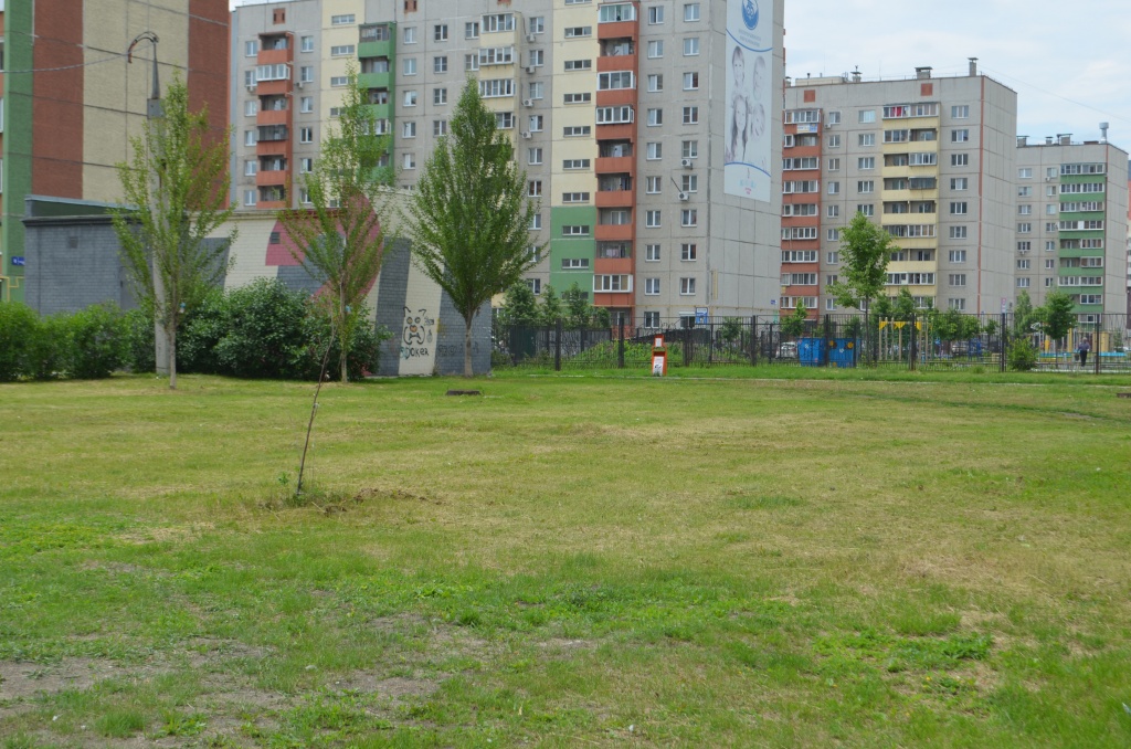 DSC_0028.JPG