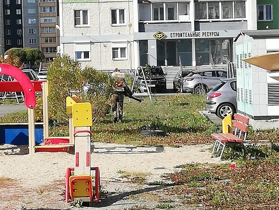 обработка 2.jpg