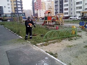 ������������ ����� �����