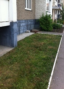 ����� �����